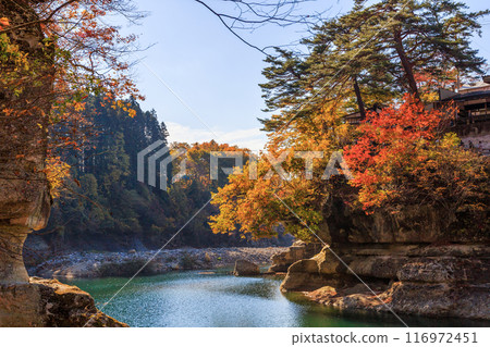 Tonohetsuri: Autumn foliage (Shimogo Town, Minamiaizu District, Fukushima Prefecture, Japan) 116972451