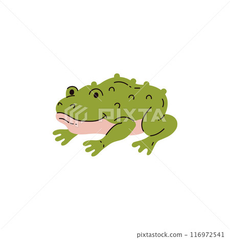 Toad sitting vector flat icon, cute funny toad wild amphibian reptile animal, green frog with large bumps on skin Toad sitting vector flat icon, cute funny toad wild amphibian reptile animal, green frog with large bumps on skin 116972541