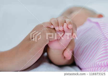 Closeup of mother and baby's hands holding hands. Closeup of mother and baby's hands holding hands. 116973325