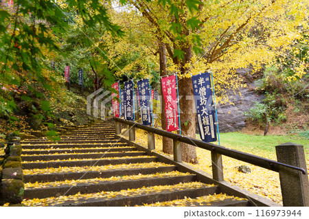 建長寺，用落下的銀杏葉鋪成的參道（神奈川縣鎌倉市） 116973944