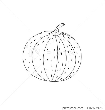 Pumpkin hand drawn outline doodle vector illustration vegetable for seasonal autumn holidays celebration design, healthy vegetarian diet, Thanksgiving, Halloween clipart 116973976