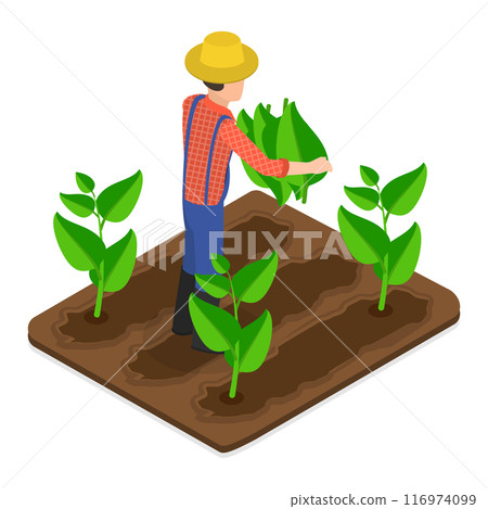 3D Isometric Flat Vector Illustration of Tobacco Industry, Cigarette Production. Item 4 116974099