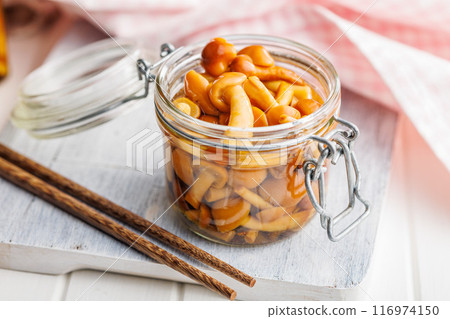 Pickled nameko mushrooms.Traditional japanese mushrooms in jar on white table. Pickled nameko mushrooms.Traditional japanese mushrooms in jar on white table. 116974150