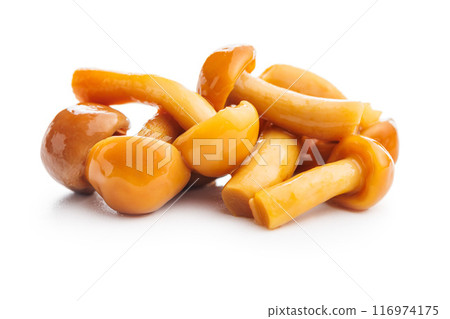 Pickled nameko mushrooms.Traditional japanese mushrooms isolated on white background. 116974175