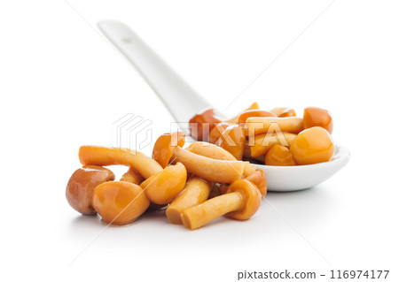 Pickled nameko mushrooms.Traditional japanese mushrooms isolated on white background. 116974177