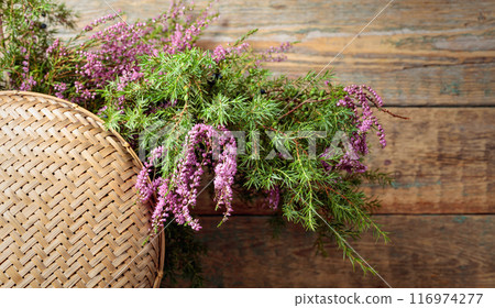 Blooming heather and juniper branch with berries on a wooden background. Blooming heather and juniper branch with berries on a wooden background. 116974277