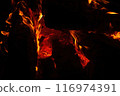 Close up of a bonfire blazing with intense heat against a 116974391