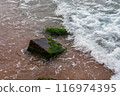 sea waves hitting moss-covered rocks 116974395