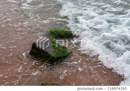 sea waves hitting moss-covered rocks 116974395