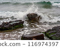 coastal rocks and ocean waves 116974397
