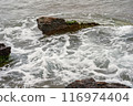 dynamic ocean waves on rugged shore 116974404
