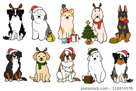 Simple and cute illustration set of large dogs for Christmas 116974576