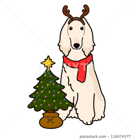 Simple and cute Christmas Afghan Hound illustration with main lines 116974577