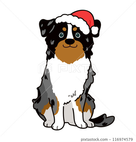 聖誕節簡單可愛的澳洲牧羊犬插畫與主線 聖誕節簡單可愛的澳洲牧羊犬插畫與主線 116974579