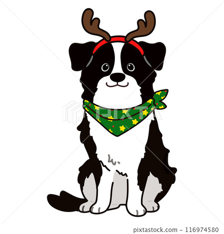 A simple and cute Christmas border collie illustration with main lines A simple and cute Christmas border collie illustration with main lines 116974580
