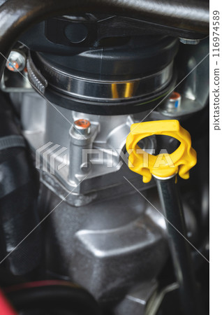 Car oil dipstick 116974589