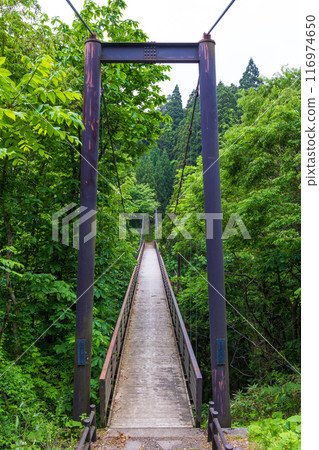 Early summer in Nikaho City, Akita Prefecture: Fresh greenery at Naso no Shirataki Falls and Negai Bridge 116974650