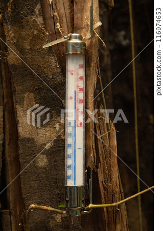 Temperature Shows Plus 32 Degrees Celsius Temperature Shows Plus 32 Degrees Celsius 116974653