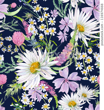 Summer seamless pattern with daisy clover flowers and other wildflowers drawn 116974888