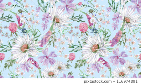 Summer seamless pattern with daisy clover flowers and other wildflowers drawn 116974891