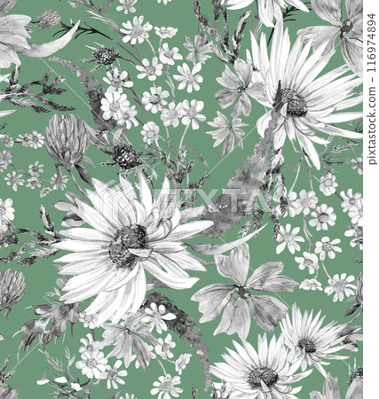 Seamless monochrome watercolor pattern with daisies and wildflowers drawn in watercolor 116974894