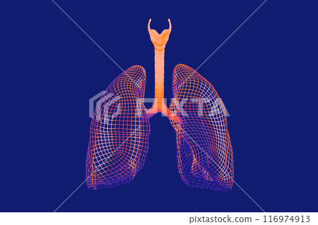 3d wireframe model of human lungs rendered in warm orange and red hues against a cool blue background 116974913