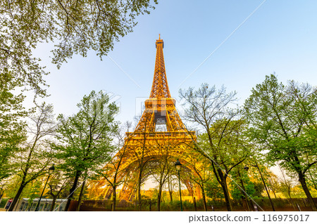 The iconic Eiffel Tower is bathed in the warm glow of the setting sun, surrounded by the lush greenery of spring trees. This captivating scene captures a tranquil and romantic atmosphere, showcasing The iconic Eiffel Tower is bathed in the warm glow of the setting sun, surrounded by the lush greenery of spring trees. This captivating scene captures a tranquil and romantic atmosphere, showcasing 116975017