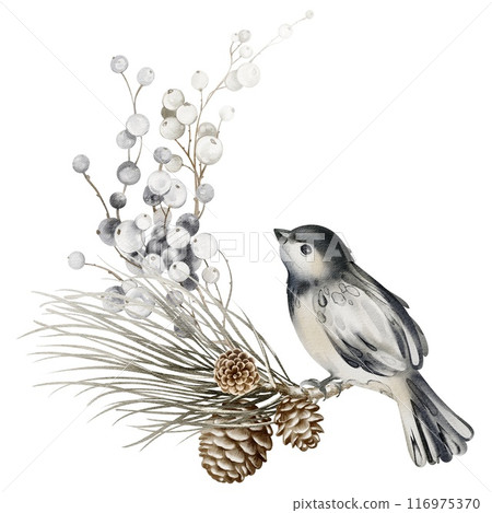 Christmas decoration on isolated white background. Watercolor xmas illustration of berry bunch and bird sitting on fir branch. Holiday design for card and invitations. Garland winter hand drawn. 116975370