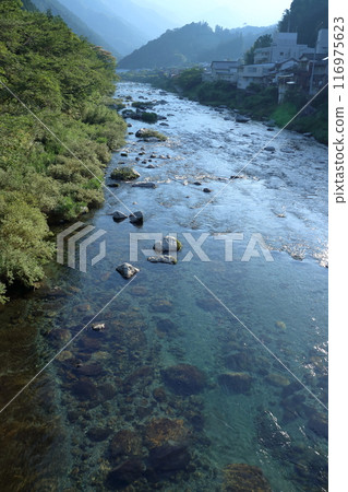 View of the Doi River upstream of the Niyodo River in early summer (Niyodogawa Town, Kochi Prefecture) 116975623