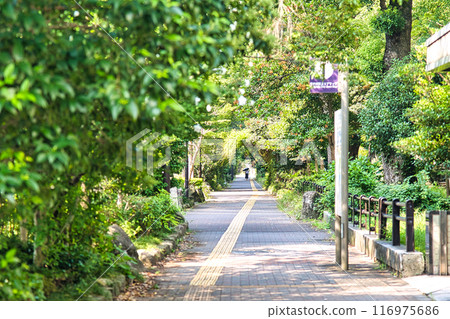 Green Street Green Street 116975686