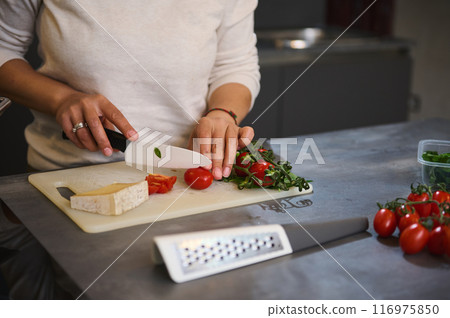 Close-up of hands slicing tomatoes on a cutting board in a modern kitchen 116975850