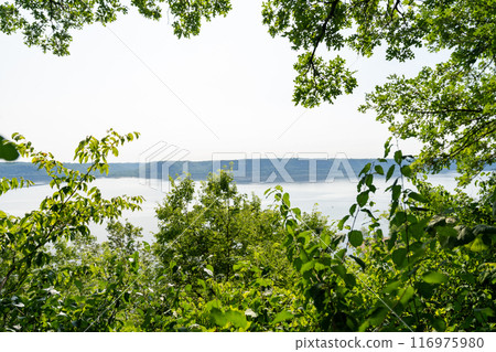 A gorgeous view of water near trees and plants at a local park in Minnesota. 116975980