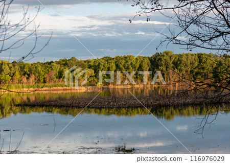 A gorgeous view of water near trees and plants at a local park in Minnesota. 116976029