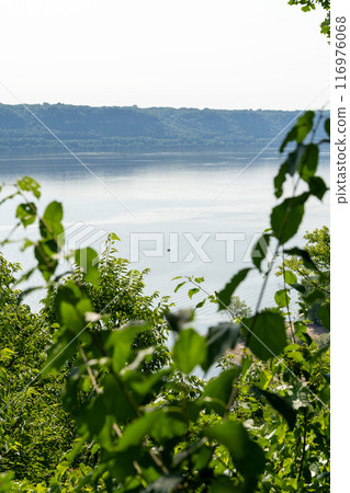 A gorgeous view of water near trees and plants at a local park in Minnesota. 116976068