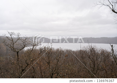 A gorgeous view of water near trees and plants at a local park in Minnesota. 116976167