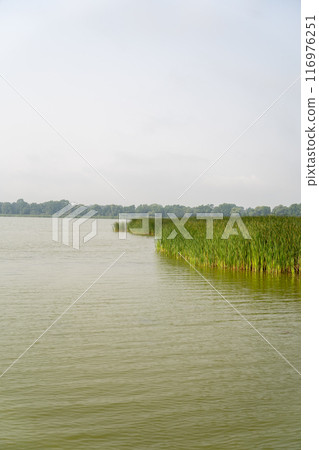 A gorgeous view of water near trees and plants at a local park in Minnesota. 116976251