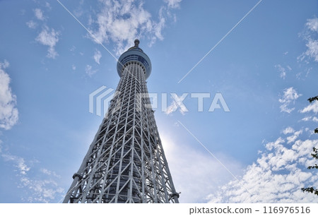 A Sky Tree shining in the blue sky A Sky Tree shining in the blue sky 116976516