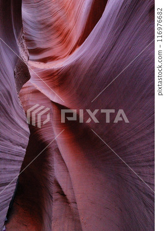 Antelope Canyon, Arizona, USA Antelope Canyon, Arizona, USA 116976682