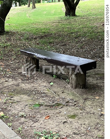 Bench Bench 116976954