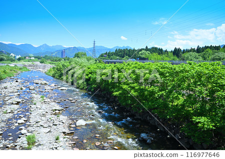 新潟縣湯澤町館橋上游清澈的魚野川山水風光 116977646