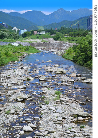 新潟縣湯澤町館橋上游清澈的魚野川山水風光 116977665