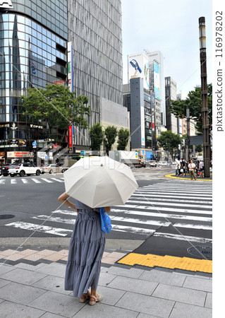 A woman holding a parasol waiting for the traffic light at Sukiyabashi intersection A woman holding a parasol waiting for the traffic light at Sukiyabashi intersection 116978202