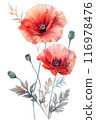 Digital Painting of Red Poppy Flowers,isolated on white . 116978476