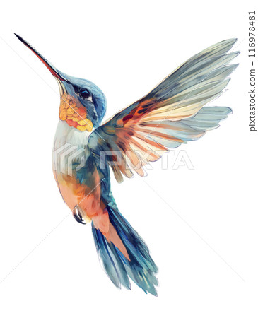 Watercolor Painting of Hummingbird, isolated on White Background. Watercolor Painting of Hummingbird, isolated on White Background. 116978481