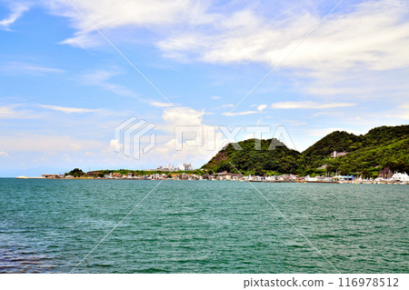 View of the Okubo-no-hana area (Numazu City, Shizuoka Prefecture) [July 2024] 116978512