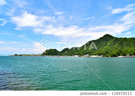 大久保之花地區景觀（靜岡縣沼津市） [2024.7] 116978513