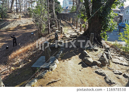 世田谷城跡公園[東京都世田谷區] 116978538