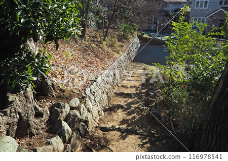 世田谷城跡公園[東京都世田谷區] 116978541