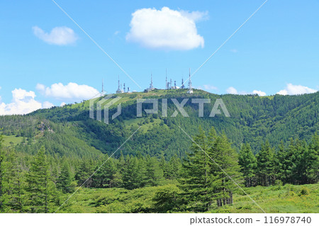 夏季Mikahara高原 夏季Mikahara高原 116978740