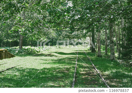 Horoza station Horoza station 116978837